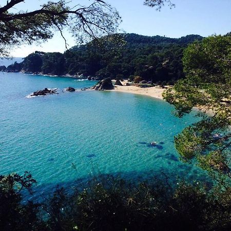 Appartements Les Pesquiers Hyeres Plage Luaran gambar